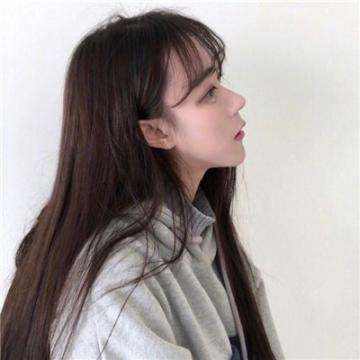 疯了的鸟手游下载
